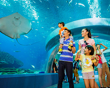 珠海長隆海洋王國門票