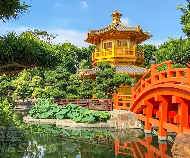 【古蹟文化之旅】油麻地書院 +品嚐星級「添好運」飲夜茶體驗